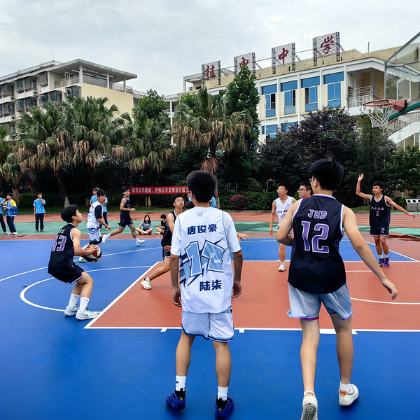 热情的篮球赛场引发阵阵掌声