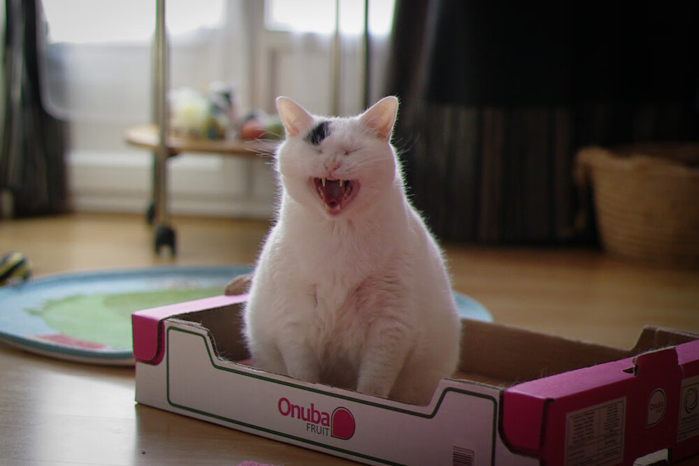 最后48秒，与深圳队的永恒对话