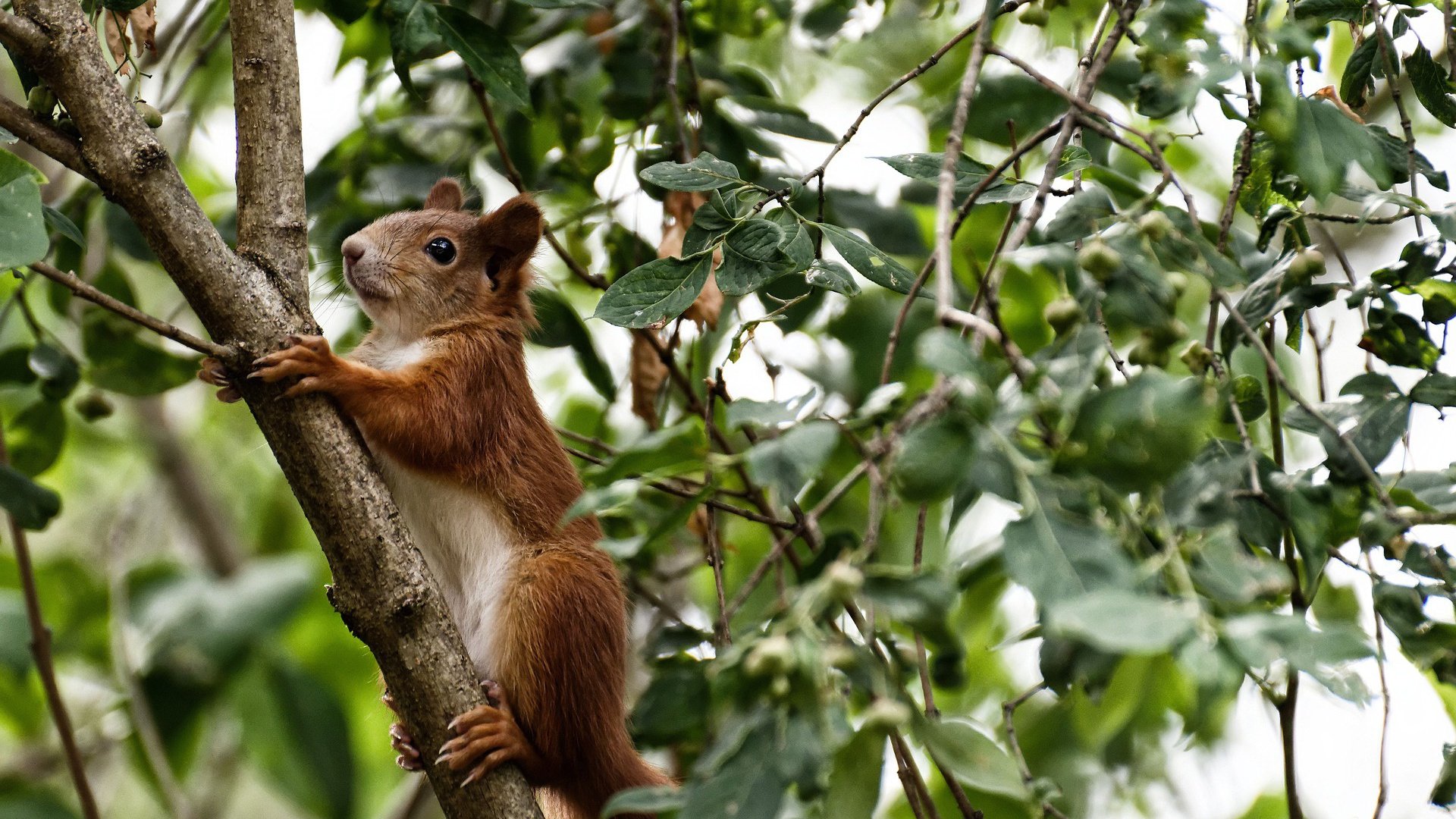 雷火电竞入驻-节奏共振，当发展节拍遇见赛场脉动