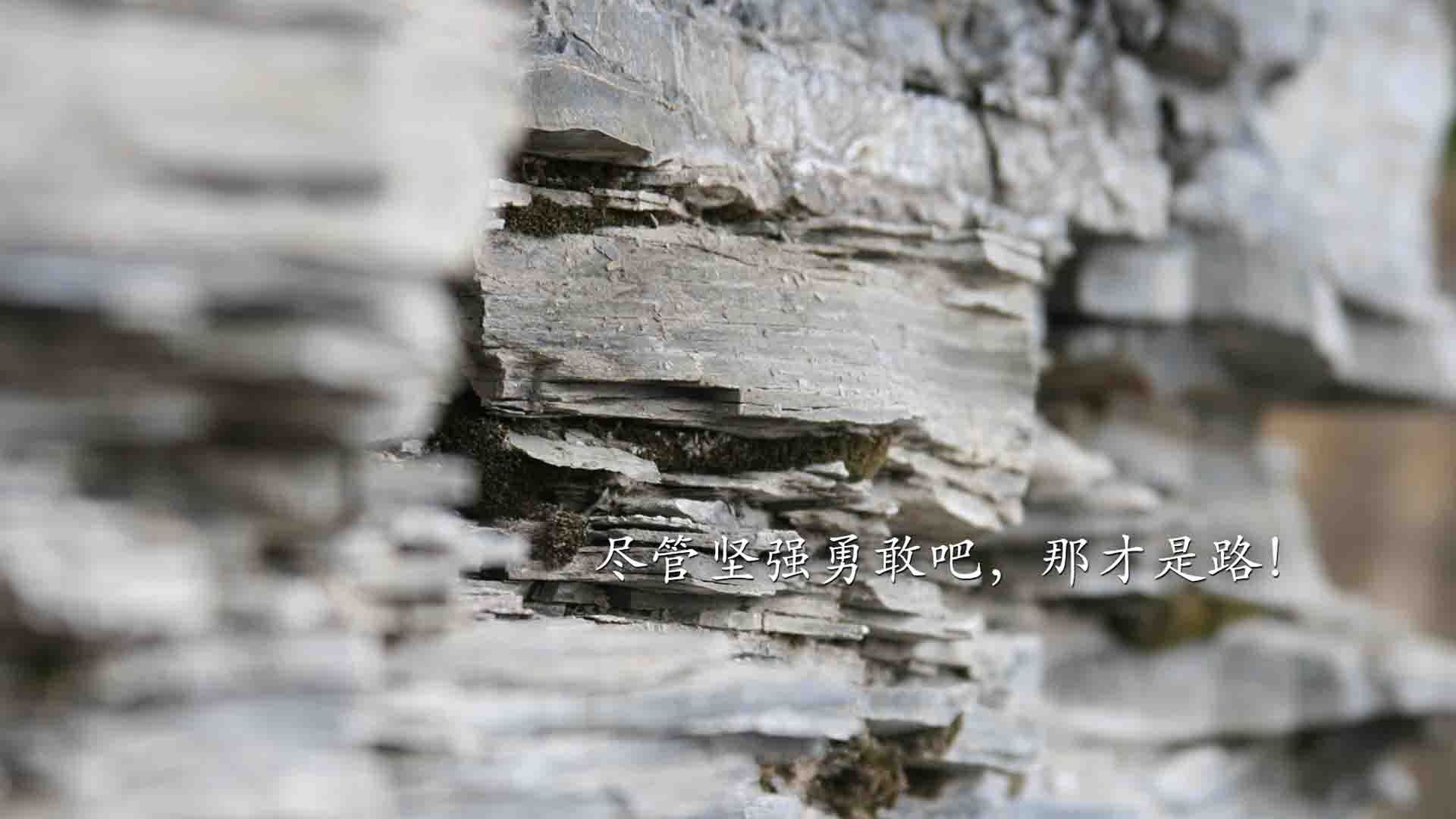 雷火电竞下载-封锁线，当马里在绿茵场重建海岸封锁