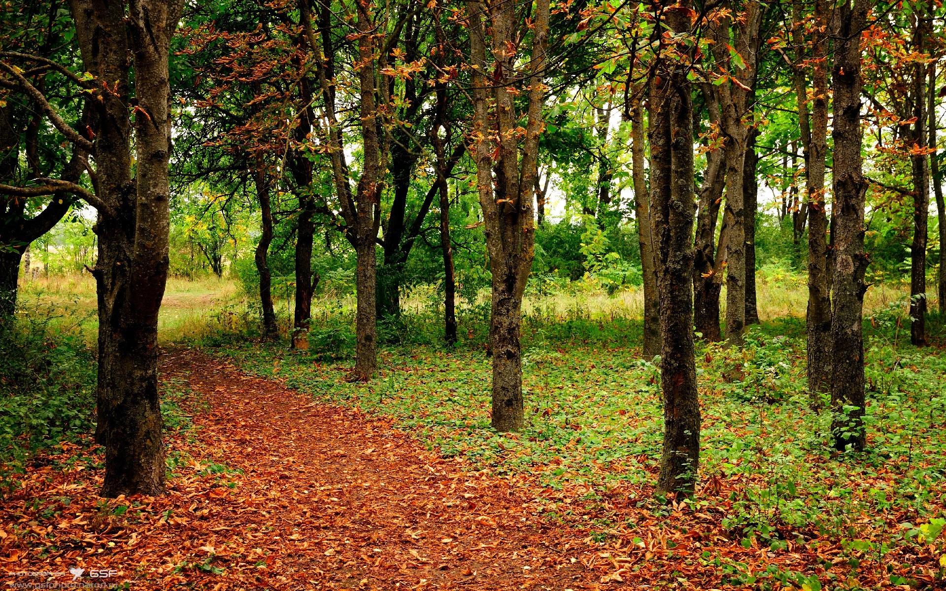 雷火电竞-跨越国界的热血，从美加墨世界杯焦点战到篮网生死战，体育如何点燃世界？