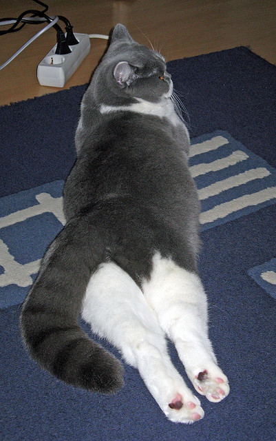 欧冠淘汰赛的开拓者精神，当坚韧撕裂不败金身