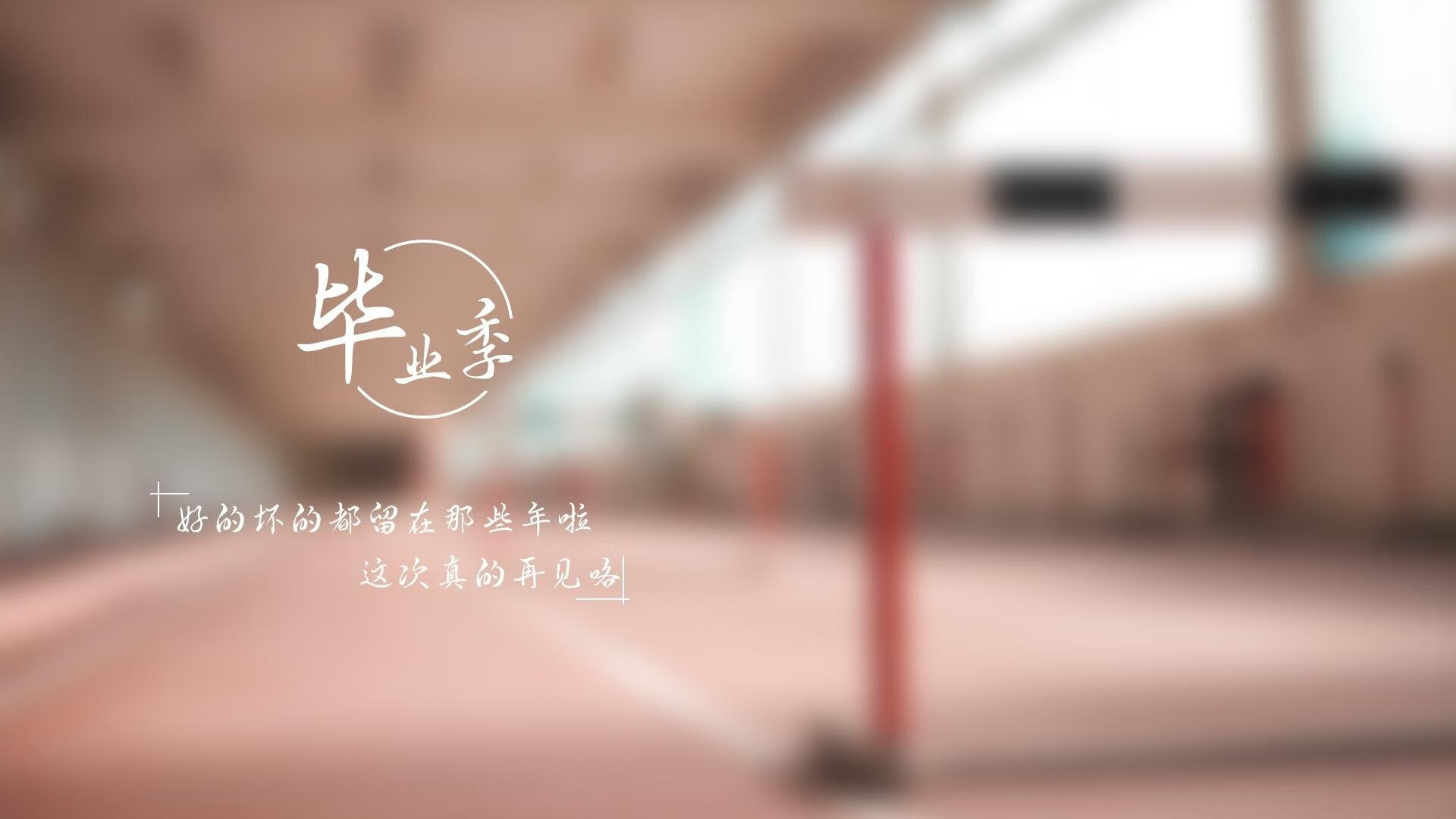 雷火电竞网址-非洲雄狮撕裂潘帕斯雄鹰，B费战术核弹引爆2026世界杯，喀麦隆用唯一性颠覆足球秩序