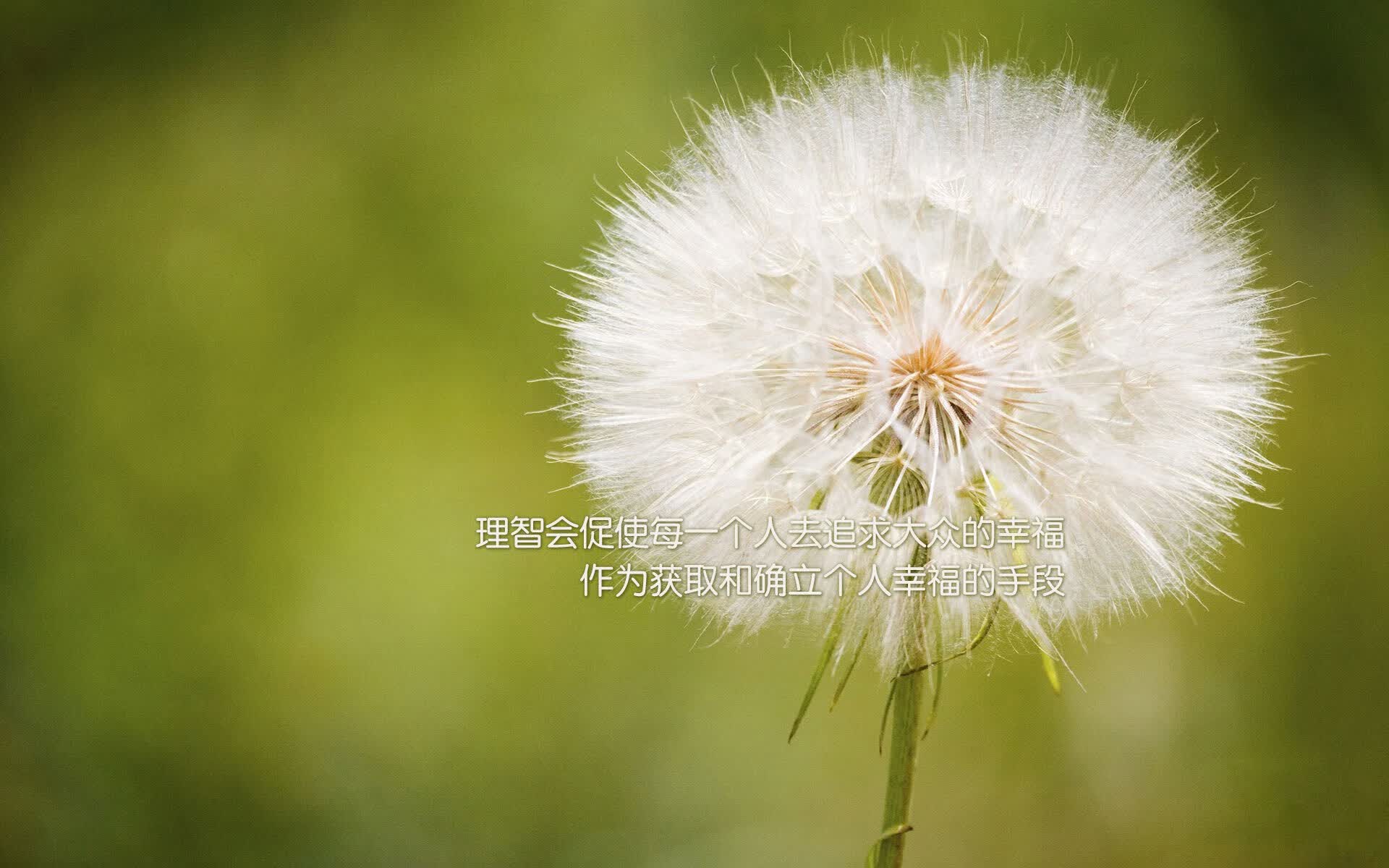 沙漠之狐折戟南美铁骑，萨卡领衔智利破局，替补奇兵一箭封喉定乾坤